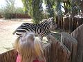 2nd Birthday at the zoo 34